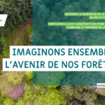 Participez à la démarche « Nos forêts demain face au changement climatique »