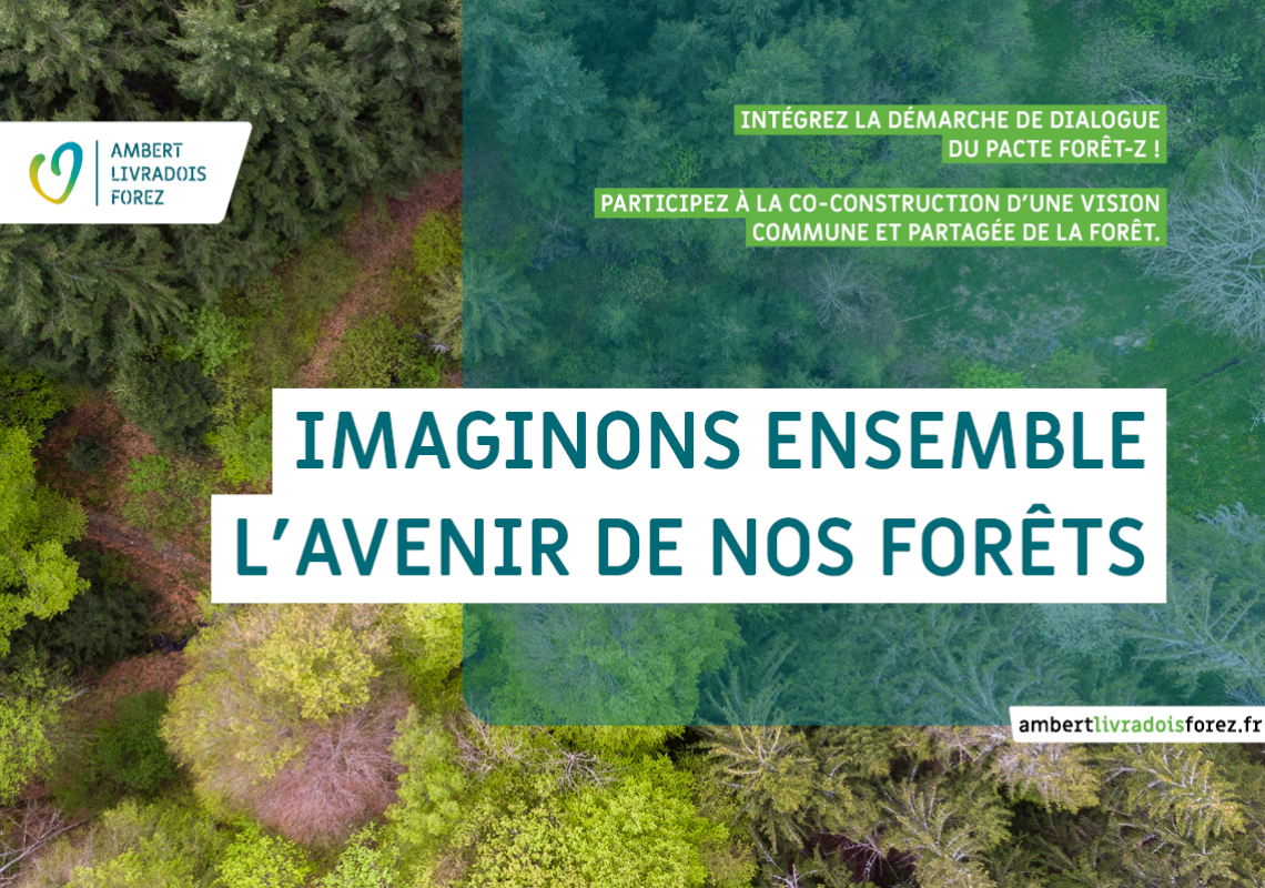 Participez à la démarche « Nos forêts demain face au changement climatique »